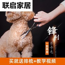 Dog shearing special scissors beauty Teddy scissors professional hairdressing safety hairdresser dog hair haircut dog hair haircut artifact