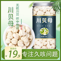 Chuanbei mother traditional Chinese medicine official flagship store Chuanbei grain Chuanbei powder cough wild Zhebei authentic non-500g small grains