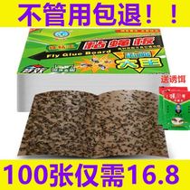 Fly stick board artifact A smell of dead fly nemesis A sweep of fly stickers comes with bait Strong sticky fly paper hotel