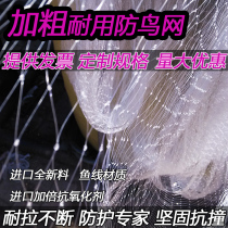 Agricultural anti-bird net Skynet fruit tree orchard net Cherry rice grape blueberry fish pond breeding protection isolation