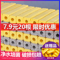 Bacterial House filter fish tank filter material aquarium nano nitrification bacterial column quartz water purification fish pond ceramic ring