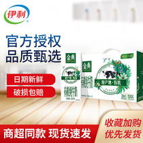 September) Yili Golden Dian Organic Pure Milk 250ml12 Box Whole Box for Adult Breakfast Student Milk Flagship Store