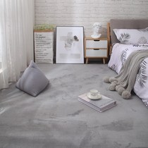 Living room carpet waterproof scrubbed mat sleeping floor damp mat thickened cold blanket foot mat bedside