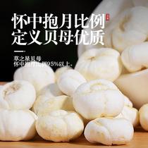 Chuanbei 100g Sichuan Fritillaria granules Chinese herbal medicine official flagship store non-grade wild Sichuan shell powder four