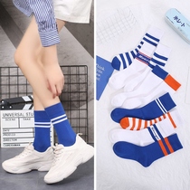 Klein blue socks with shark pants with father shoes Japanese jk socks women long Jane summer and autumn women group ins
