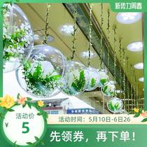 Summer Shop New Shop Window Arrangement Atmosphere Spring Summer Season Leaf Pull Bar Classroom Board Newspaper Decoration Hallway Ceiling Pendant