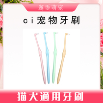 Japanese ci kitty toothbrushes single-beam flat-headed pooch universal