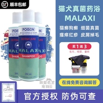 Australian formula MALAXI spicy wash cat dog medicine bath 250ml pet cat ringworm dog ringworm fungus bacteria thick skin