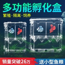 The new fish tank isolation box protects small fish multifunctional anchovies under the cub production baby small small