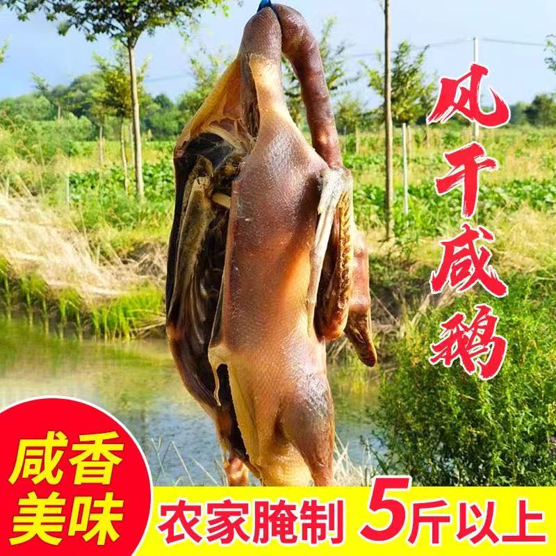 Farm pickled Liyang Zhoucheng salted goose La goose Air-dried old goose Whole Tianmu Lake Shouxian Maoshan Gushi 5 5 pounds