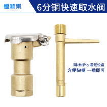 6-point brass quick water intake valve Green water intake plug rod Garden water intake plug Convenient body key sprinkler plug
