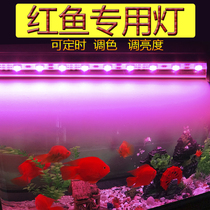 Red fish special lamp Magic red fish tank lamp waterproof LED energy-saving parrot fish Arhat special lamp brightening lighting