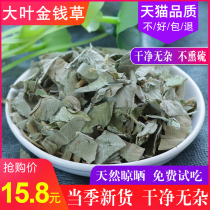 Chinese Herbal medicine Money grass 500g grams Guangxi big leaf money grass Money grass Natural wild-free wide money grass