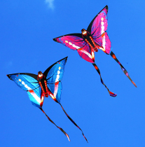 Net red couple butterfly kite Weifang adult special creative kite Adult large high-end novice Breeze easy to fly