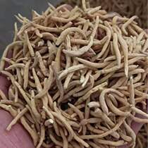 Guizhou Shi Bing Huangping authentic Taizi ginseng natural alpine Chinese herbal medicine children ginseng sulfur-free soup children ginseng a pound