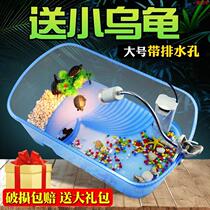 Turtle container Son of a bitchs special tank breeding box box cage Small turtle bonsai Brazilian turtle with sun table