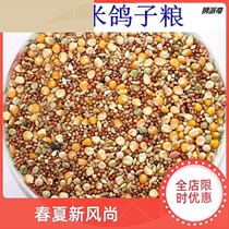 10kg of corn pigeon food flying nutrition feed bird food pigeon ornamental pigeon meat pigeon food m