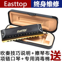EASTTOP dongfangding dreamer 12-hole harmonica novice beginner adult Introductory