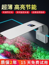 Fish tank lamp LED lamp holder aquatic lamp professional small waterproof and energy-saving lighting lamp small clip lamp fish tank base lamp holder