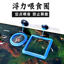Fish tank feeding ring fixed-point feeder feeding ring fish guppies feeder buoyant feeding tube small shrimp feeder