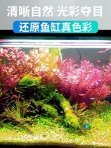 Fish tank aquatic grass lamp energy-saving LED lamp special lighting turtle tank landscaping splash-proof water small aquarium support lamp
