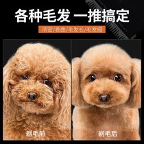 Pet Electric Pushy Cut Dogs Shawler Cat Kitty Teddy Dog Hair Electric Hairdresser Professional Pushers Auto Electric Push