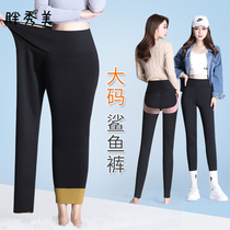 Shark Skin Beating Bottom Pants Woman Summer Thin outside wearing 200 catty mm Big code Barbie High waist Spring and autumn 90% shark pants