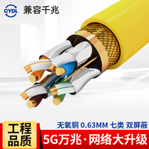  Class 7 network cable 10 Gigabit Class 7 super class 7 double shielded oxygen-free copper pure copper high-speed 0 62 home network twisted pair