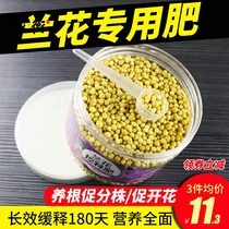 Orchid special fertilizer fertilizer Clivia granules slow-release fertilizer household orchid flower Dendrobium Phalaenopsis nutrient solution room