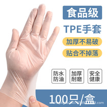 tpe disposable gloves Food Kitchen home beauty salon thickened durable dining baking pvc gloves