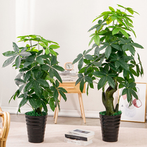 Simulation plant potted bionic rich tree large plastic fake green plant living room decoration floor fake flower interior decoration