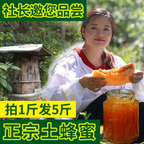 Soil honey Pure natural farm-produced pregnant women and children jujube flower peak honey Hundred flower honey Deep mountain authentic raw honey