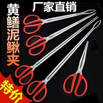 Yellow eel clips stainless steel loach pliers Anti-slip anti-drop tool Fish Control Catch-up Tool Lengthened Band Saw Teeth