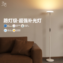 Living room floor lamp super bright light on sofa bedroom bedroom bedside room atmosphere sitting eye guard