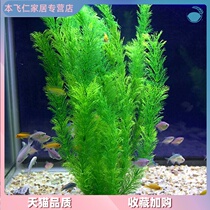 Fish tank landscaping decoration imitation water grass plastic water grass Fake water grass Soft green plant Aquarium fish grass