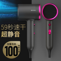 German hair salon electric hair dryer home barber shop high-power Net red negative ion hair care silent quick dry air blower