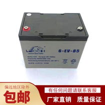 Electric truck Nuoli Hang Fork Zhongli Small King Kong Battery Maintenance-Free Battery 6-EVF-65 80
