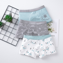 Childrens underwear pure cotton boys underwear Summer boxer shorts boys underwear Autumn and winter baby middle and large childrens shorts spring