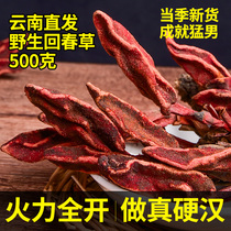 Huichuangrass 500g Yunnan wild deep mountain not old grass Tiangzhu male nourishing cistanche cynosochia soak water wine