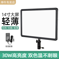 God cow LED fill light lamp P120-260C live food flat photography soft light wedding shooting light Light Light