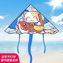 Weifang kite 2020 new Chinese wind net red breeze easy to fly special 2021 children adults large