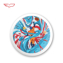 YikunDiscs wing Kun Frisbee excellent flutter Wonderland infinite color 175 grams extreme Frisbee gift box