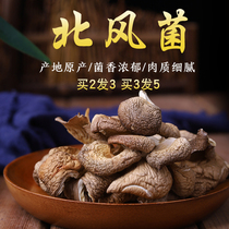 Yunnan specialty Beifeng fungus 100g fresh dry goods stewed soup soup ingredients Dry food edible mushrooms Mushrooms