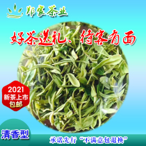 Rizhao Green Tea Spring Season Tea fragrance type high-grade gift box Bulk fried Qingyuan ecological rain 250g authentic