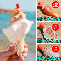 Natural conch horn can blow super large whistle Horn Shell whistle handicraft childrens toy small snail