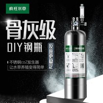 Carbon dioxide small gas cylinder straw cylinder generator fish tank water grass special high-pressure homemade no worries suit co2 steel bottle