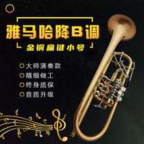 Original Yamaha high-grade gold copper flat key small B Flat B flat tone brass instrument students Test beginner performance