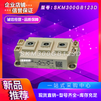  SKM100GB12T4 128D 150GB123D 200GB123D 400GB12T4 125D Module