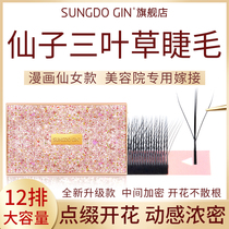 Fairies trifoliage Grass Eyelash Graft 3D Fairy style sandwich Y-type yy four-leaf grass for one second blooming memascara special