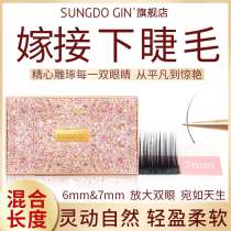 Grafting Eyelash Under Eyelash Single Root Natural Beauty Mascara Planting Fake Eyelash Soft Water Mink Underlashes Mixed Dress